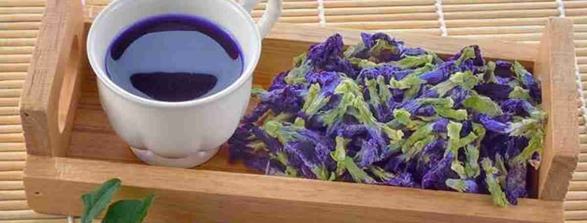 jus bunga telang